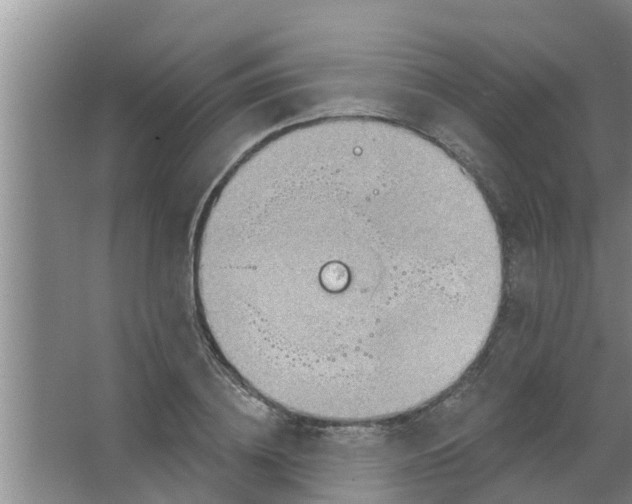 X0000063530836200602032134