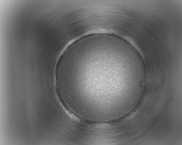 X0000063530837200602032134