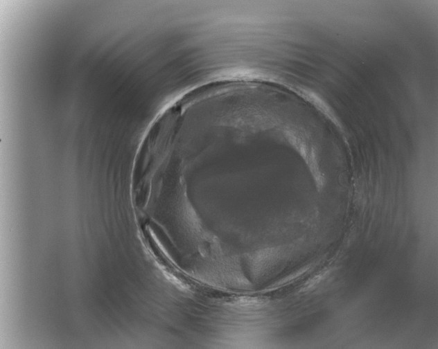 X0000063530839200602032134