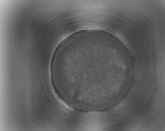 X0000063530840200602032134