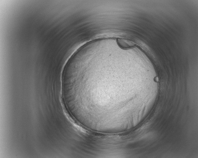 X0000063530844200602032134