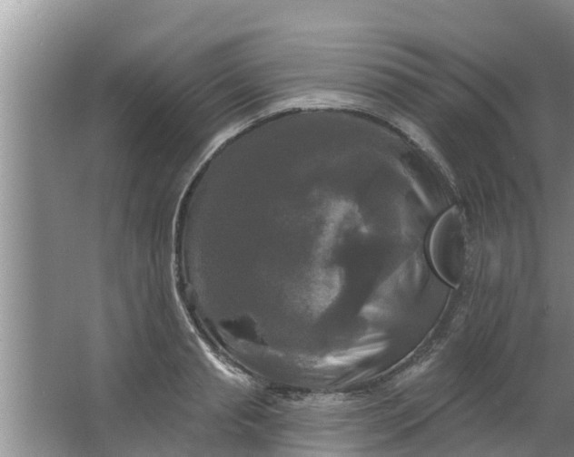 X0000063530845200602032134