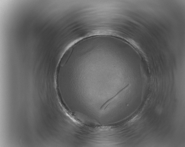 X0000063530846200602032134