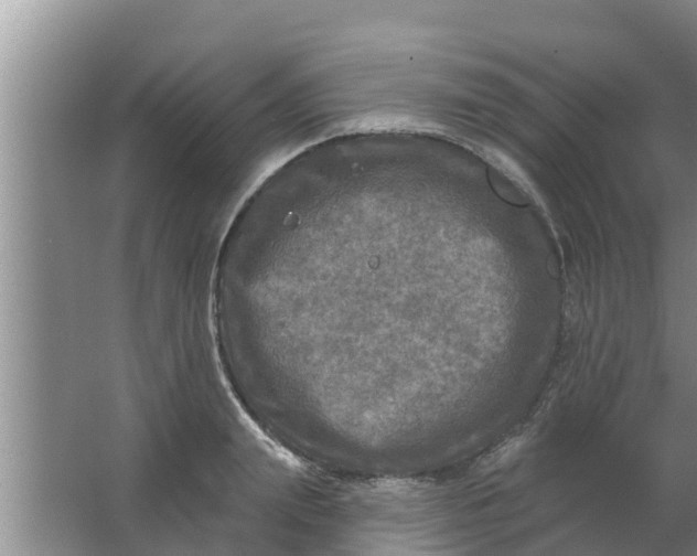 X0000063530847200602032134