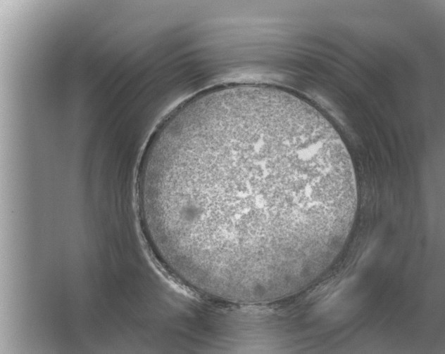 X0000063530848200602032134