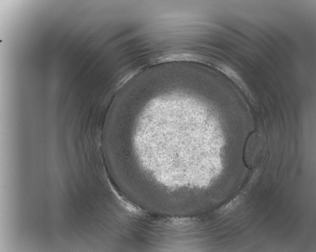 X0000063530849200602032134