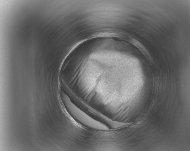 X0000063530852200602032134