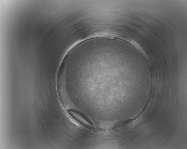 X0000063530854200602032134