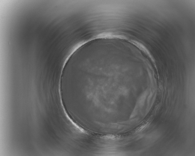 X0000063530855200602032134