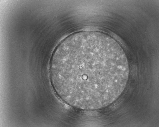 X0000063530856200602032134