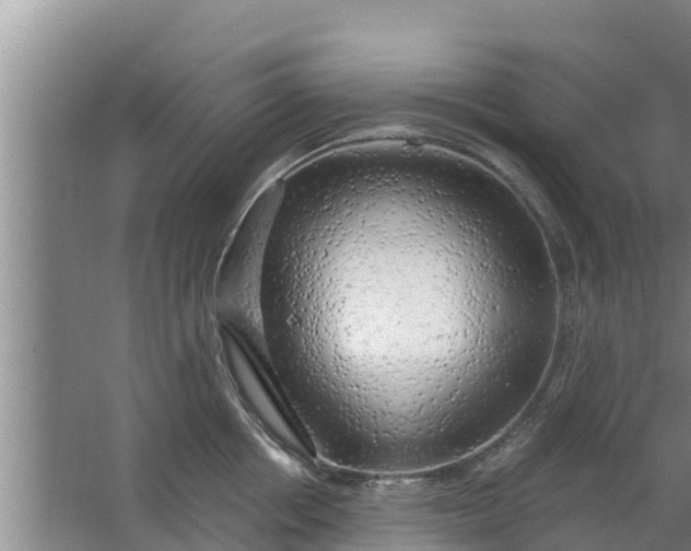 X0000063530858200602032134