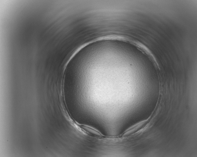 X0000063530860200602032134