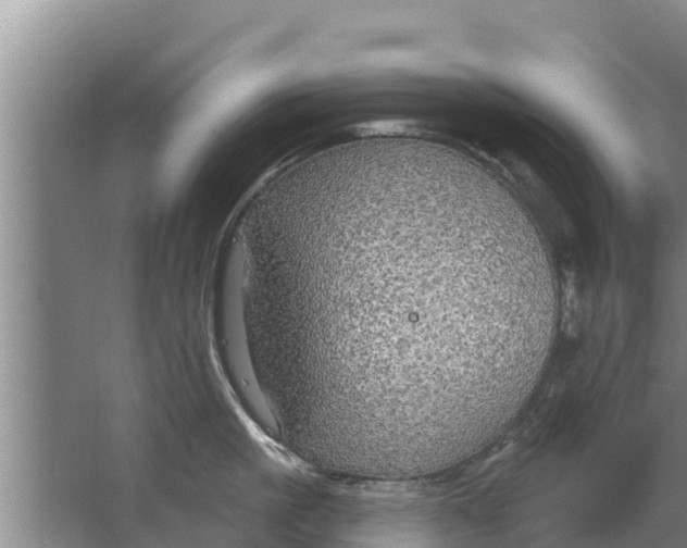 X0000063530861200602032134