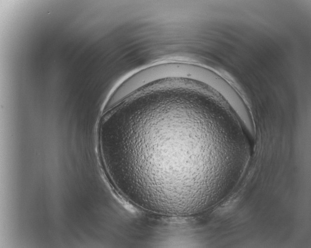 X0000063530862200602032134