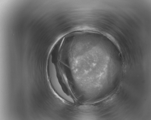 X0000063530863200602032134