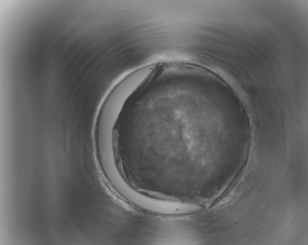 X0000063530864200602032134