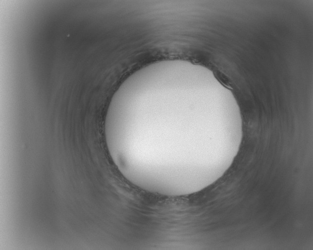 X0000063530865200602032133