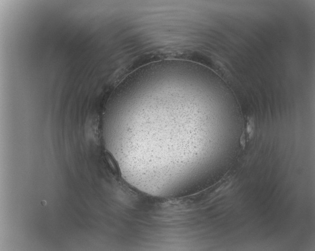 X0000063530867200602032133