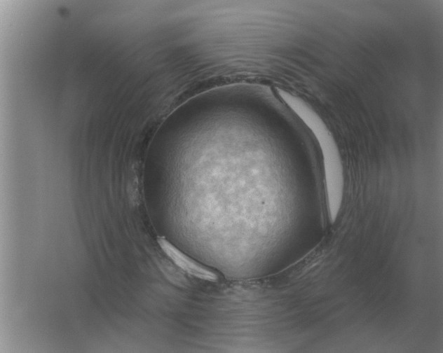 X0000063530868200602032133