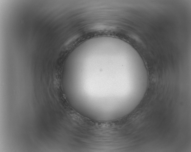 X0000063530869200602032133