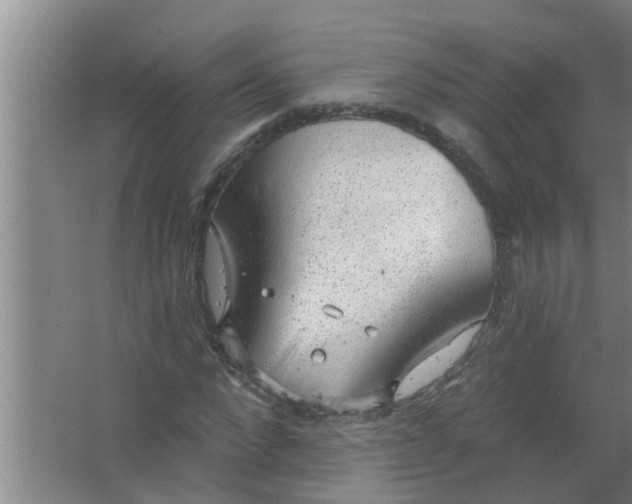 X0000063530872200602032133