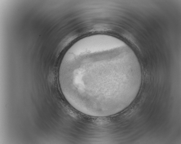 X0000063530874200602032133