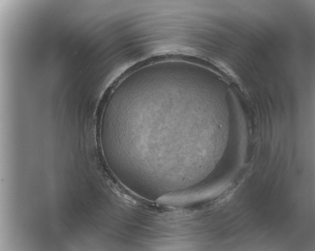 X0000063530877200602032133