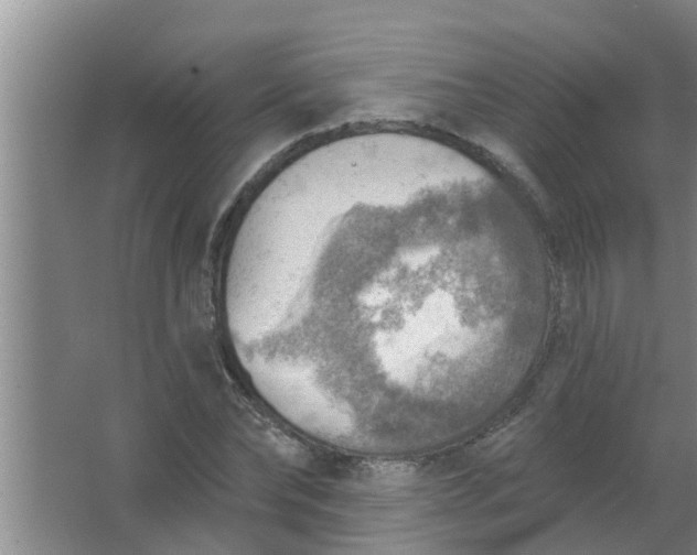 X0000063530878200602032133