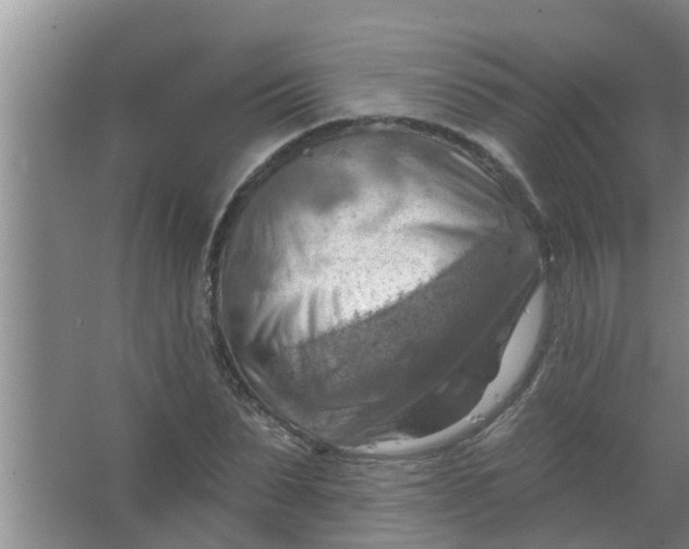 X0000063530879200602032133