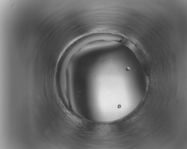 X0000063530880200602032133