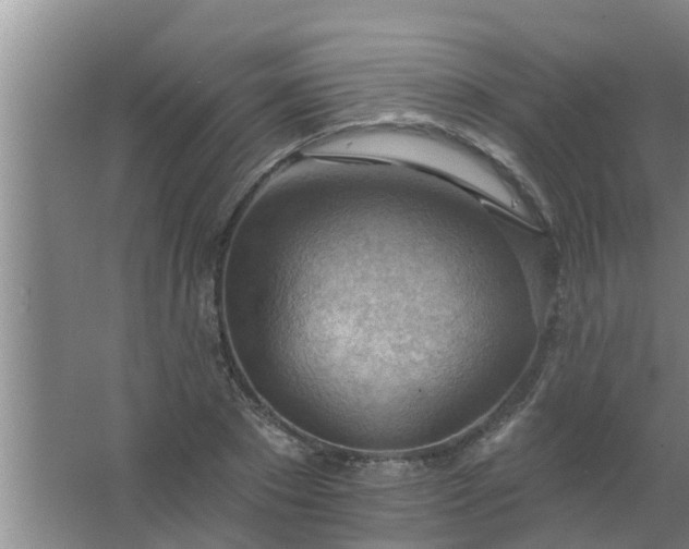 X0000063530881200602032133