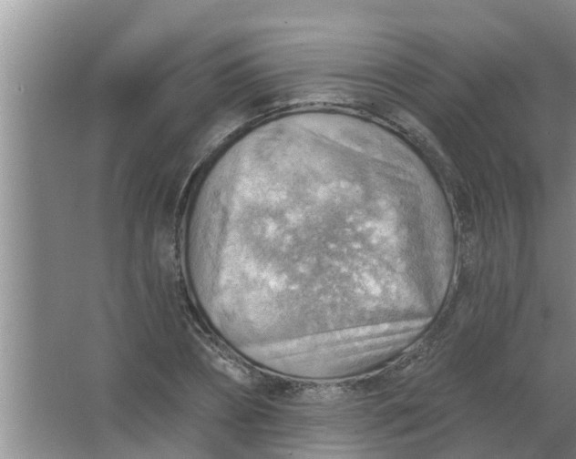 X0000063530882200602032133