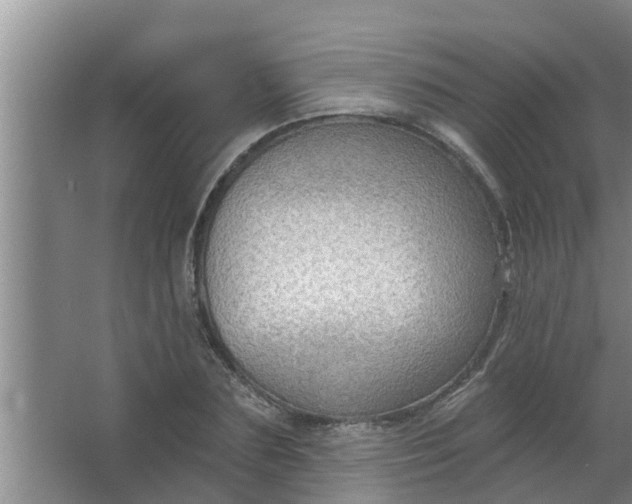 X0000063530883200602032133