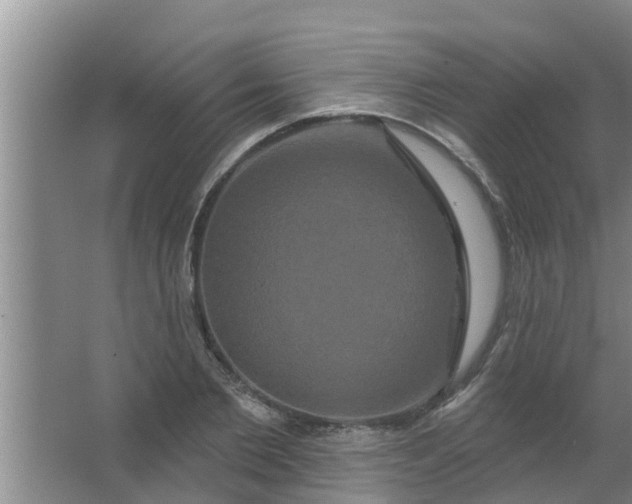 X0000063530885200602032133