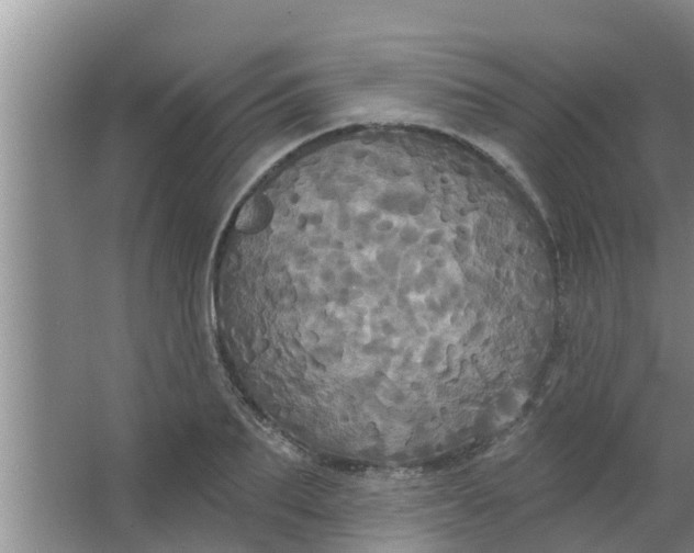 X0000063530887200602032133