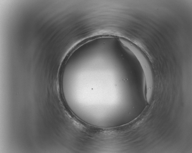 X0000063530888200602032133