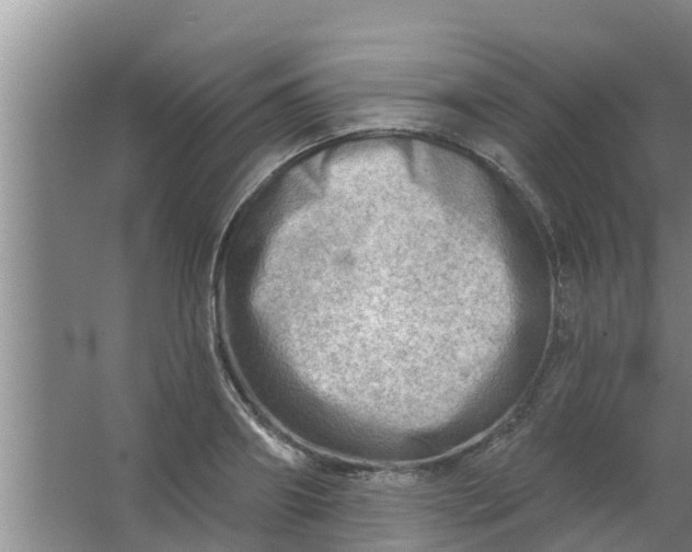 X0000063530890200602032133