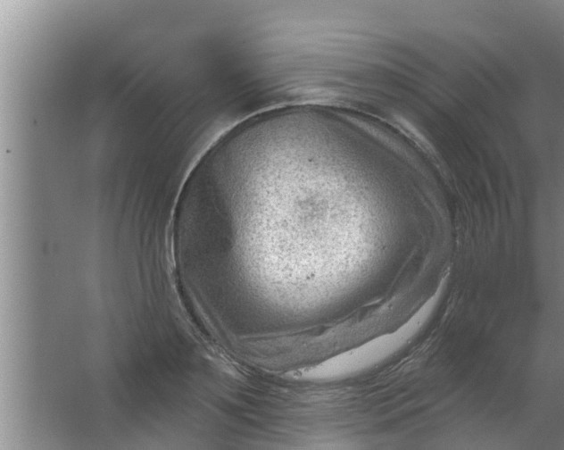 X0000063530891200602032133