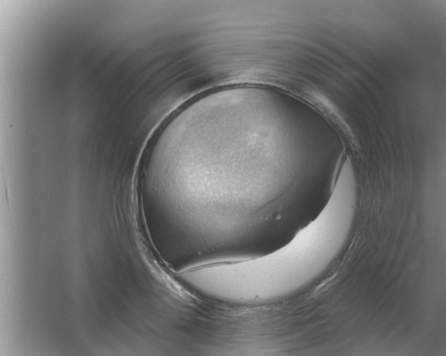 X0000063530892200602032133