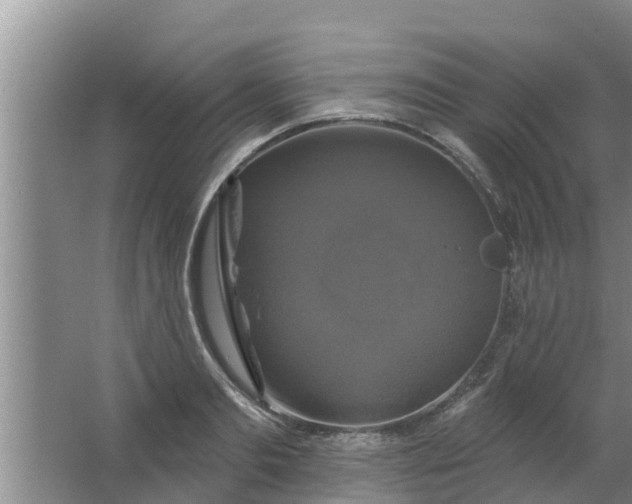 X0000063530893200602032133