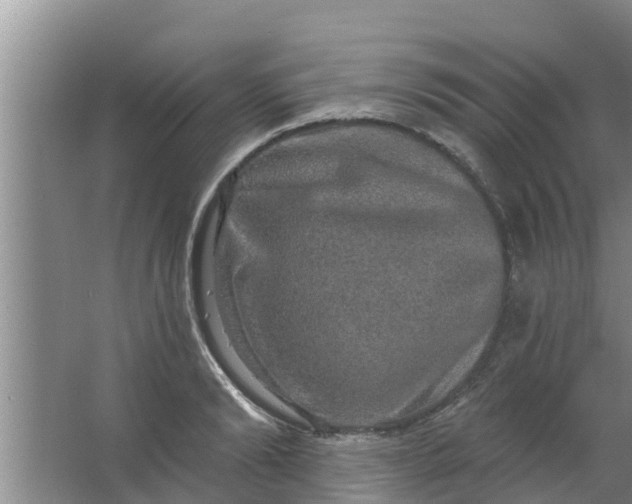 X0000063530894200602032133