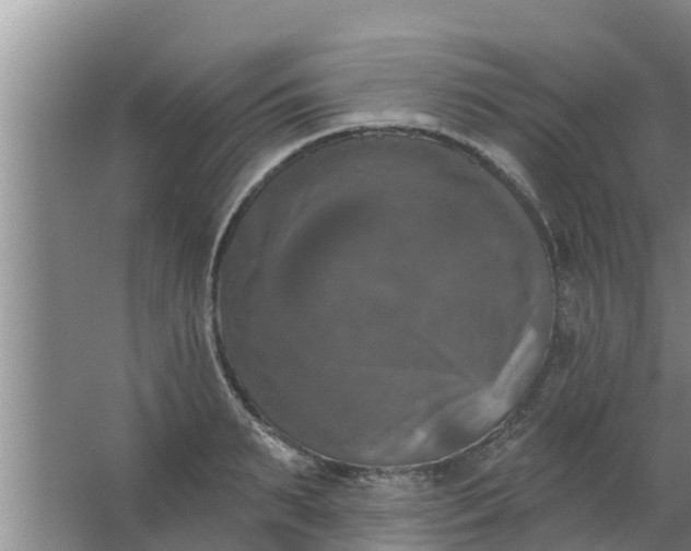 X0000063530895200602032133