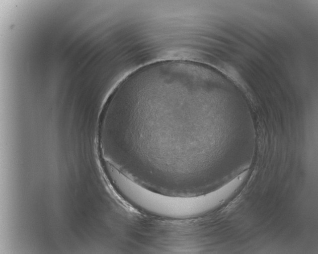 X0000063530896200602032133