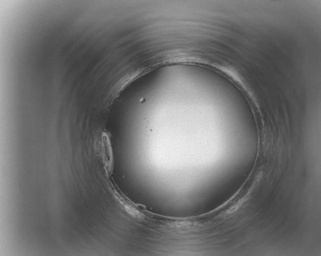 X0000063530897200602032133