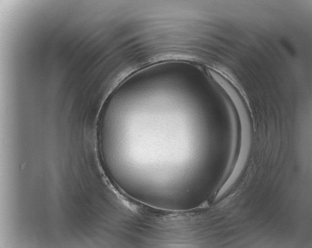 X0000063530898200602032133