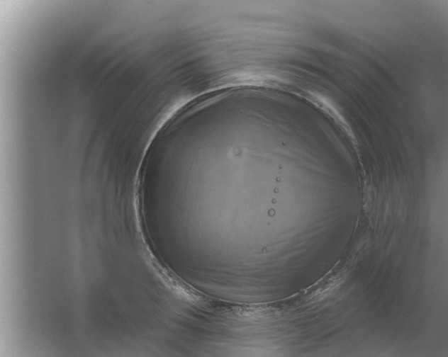 X0000063530899200602032133