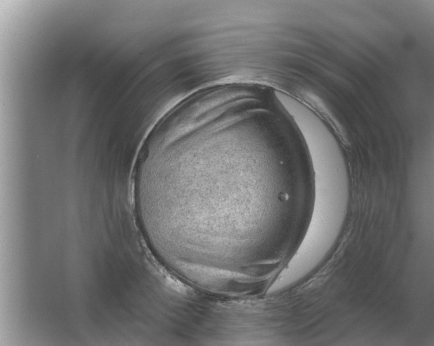 X0000063530900200602032133