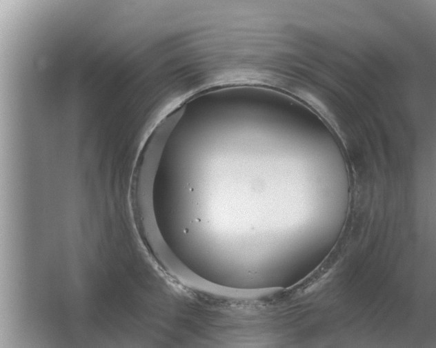 X0000063530901200602032133