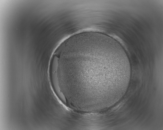 X0000063530902200602032133