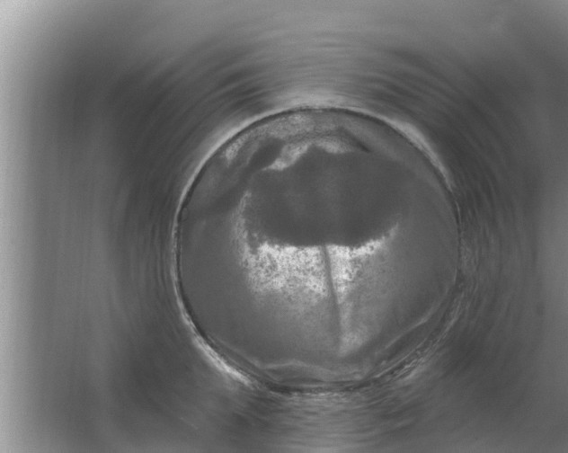 X0000063530903200602032133